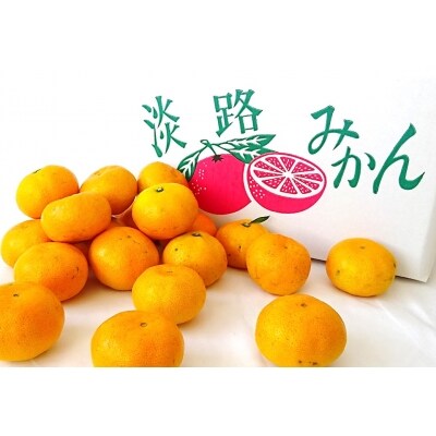豊田さんちの採れたて「早生」みかん7.5㎏
