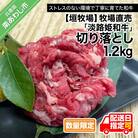 垣牧場直売「淡路姫和牛」切り落とし　1.2kg