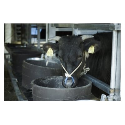 垣牧場直売「淡路姫和牛」切り落とし　1.2kg