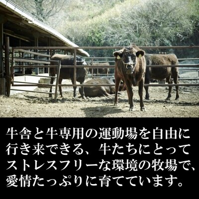 垣牧場直売「淡路姫和牛」切り落とし・たれ漬けセット 800g