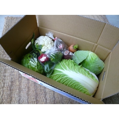 【淡路夢ファーム】　おまかせ野菜BOX
