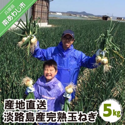 淡路島産玉ねぎ 5kg　◆配送令和8年5月中旬～