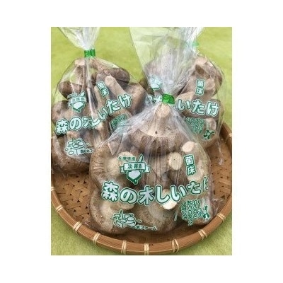 淡路島産の菌床生椎茸(しいたけ)