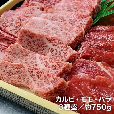 【数量限定】垣牧場直売「淡路姫和牛」BBQセット(750g)+ホルモンミックス(400g)