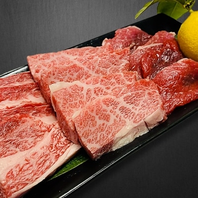 【数量限定】垣牧場直売「淡路姫和牛」BBQセット(750g)+ホルモンミックス(400g)