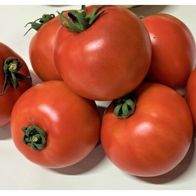 新鮮トマト2種の食べ比べセット(ルネッサンス・プチぷよ)