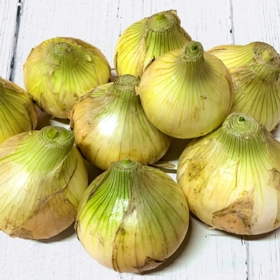 【新玉ねぎ】ひょうご安心ブランド認証 特別栽培の玉ねぎ「戎珠(えびすたま)」 3kg 