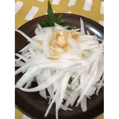 新玉ねぎ シャーロットオニオン 4kg　◆配送3月～6月