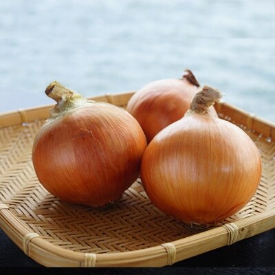 淡路島たまねぎ　10kg