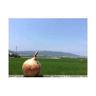 淡路島の農家の嫁から「完熟玉ねぎ 中生 5kg」