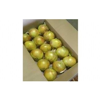 淡路島の農家の嫁から「完熟玉ねぎ 中生晩生 5kg」