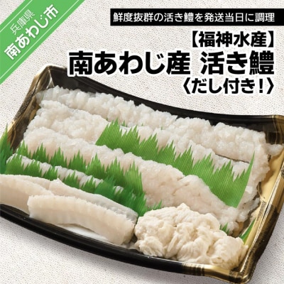 [南あわじのハモ]南あわじ産 活き鱧　だし付きでお届け! ★配送7月11日～9月25日