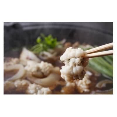 沼島沖を漁場とする福良延縄漁の「鱧鍋セット」 ★配送6月10日～8月11日