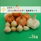 【淡路夢ファーム】　ジャンボニンニク・玉ねぎセット3kg