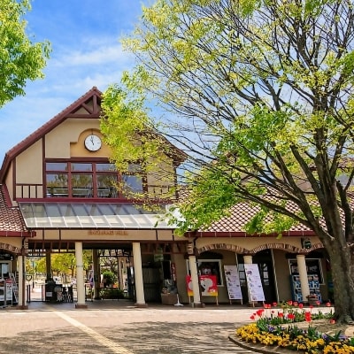 コアラのいる農業公園　淡路ファームパーク　イングランドの丘　入場券&飲食利用券(ペア)