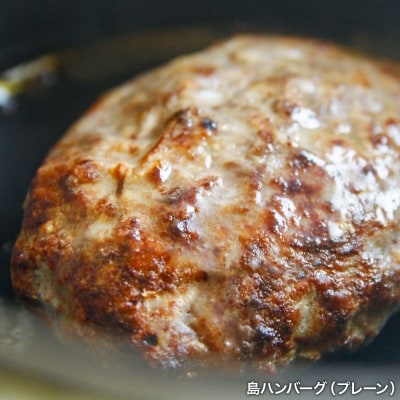 【イングランドの丘】自家製 島ハンバーグとローストビーフのセット