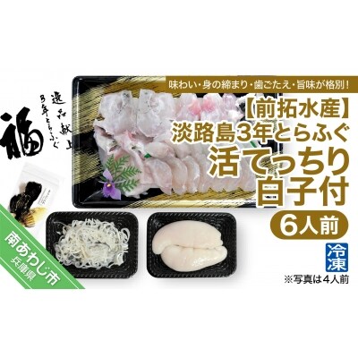 【前拓水産】淡路島3年とらふぐ(活てっちり/白子付6人前)冷凍◆配送12月2日～2月28日
