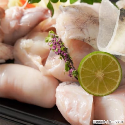 【橋詰鮮魚】淡路島3年とらふぐ鍋セット(白子付)2人前