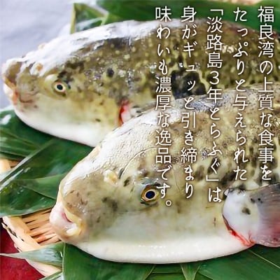 淡路島3年とらふぐ「てっちり」淡路野菜添えセット(2人前)◆期間限定~3/15