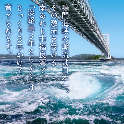淡路島3年とらふぐ「てっちり」淡路野菜添えセット(2人前)◆期間限定~3/15