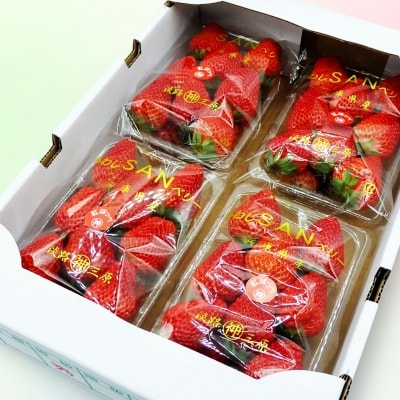 神代さんちの朝採り摘みたていちご　紅ほっぺ　◆配送1月中旬～ 