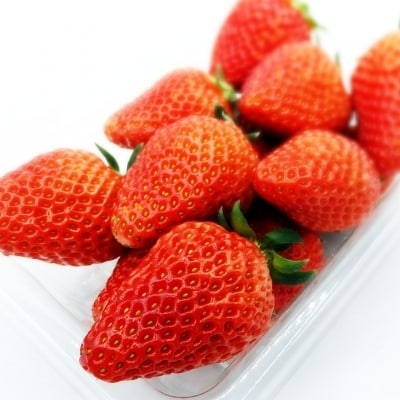 神代さんちの朝採り摘みたていちご　紅ほっぺ　◆配送1月中旬～ 