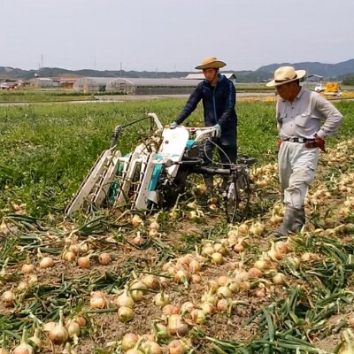 【新玉・ひょうご推奨ブランド】新玉ねぎ(淡路玉三郎)10kg ◆配送3月上旬～5月