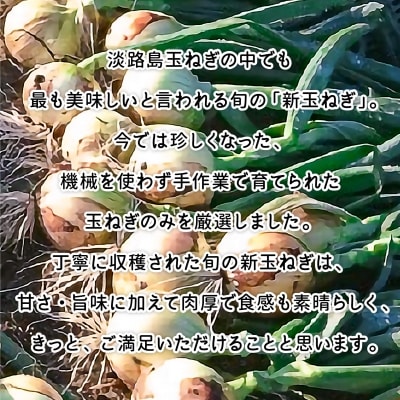 【海上ホテル】淡路島新玉ねぎ　3kg　◆配送4月中旬～