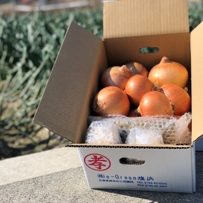 ゴールデン玉葱(淡路産)5kg 