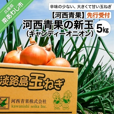 【先行受付】河西青果の新玉(キャンディーオニオン)5kg　◆配送5月初旬～6月末 