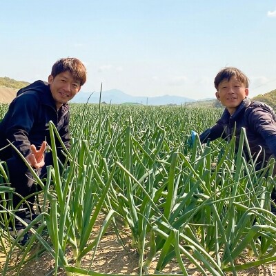 【先行受付】河西青果の新玉(キャンディーオニオン)5kg　◆配送5月初旬～6月末 