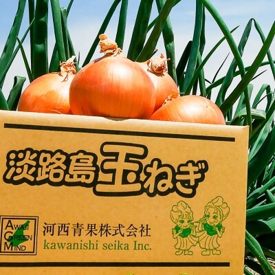 【先行受付】河西青果の新玉(キャンディーオニオン)4.5kg&ドレッシング◆配送5月初旬～6月末