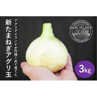 【アグリアイランド】【新玉受付】淡路島新たまねぎアグリ玉3kg ◆配送3月下旬~