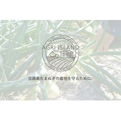 【新玉受付】淡路島新たまねぎアグリ玉3kg　◆配送3月下旬～