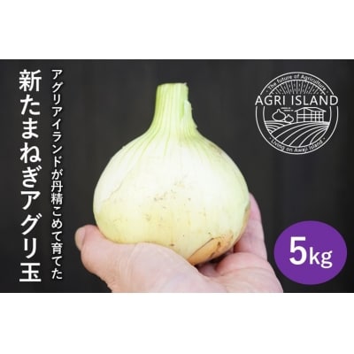 【アグリアイランド】【新玉受付】淡路島新たまねぎアグリ玉5kg ◆配送3月中旬～