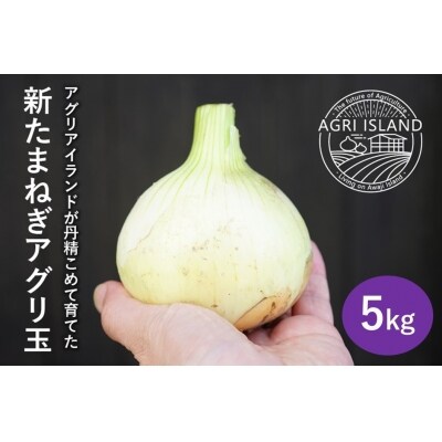 【アグリアイランド】【新玉受付】淡路島新たまねぎアグリ玉5kg　◆配送3月中旬～