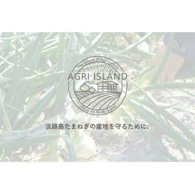 【アグリアイランド】【新玉受付】淡路島新たまねぎアグリ玉5kg　◆配送3月中旬～