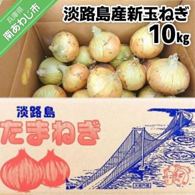 【新玉受付】淡路島産新玉ねぎ10kg　◆配送2月中旬～