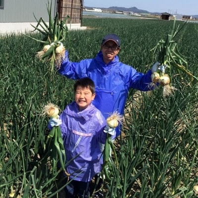 【youふぁーむ】【新玉受付】淡路島産新玉ねぎ7kg、あわじ大江のり2本セット◆配送2月中旬～ 