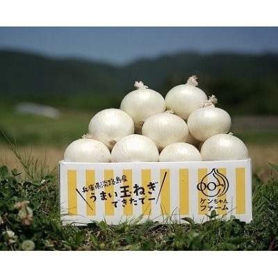 【先行受付!】【ケンちゃんファーム】希少!特別栽培真っ白な白たまねぎ　3kg