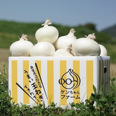 【先行受付!】【ケンちゃんファーム】特別栽培真っ白な白たまねぎ　10kg　