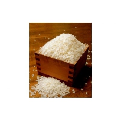 白米　30kg