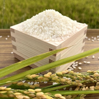 淡路島産きぬむすめ　白米30kg