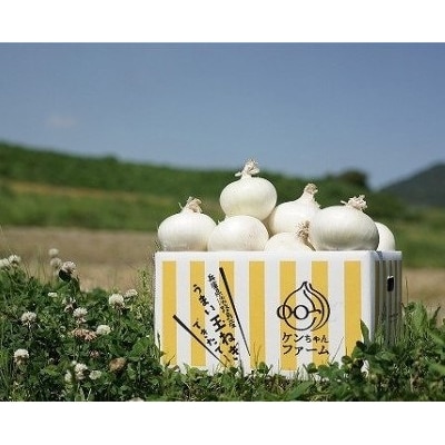 【先行受付!】【ケンちゃんファーム】希少!特別栽培真っ白な白たまねぎ　5kg