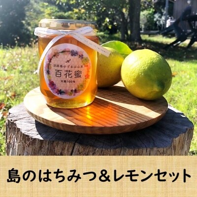 【数量限定】島のはちみつ&レモンセット