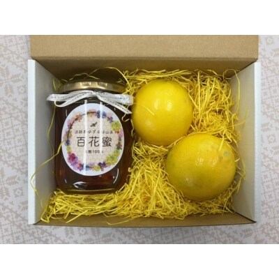【数量限定】島のはちみつ&レモンセット