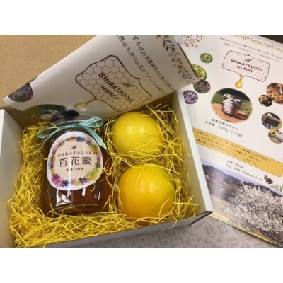 【数量限定】島のはちみつ&レモンセット