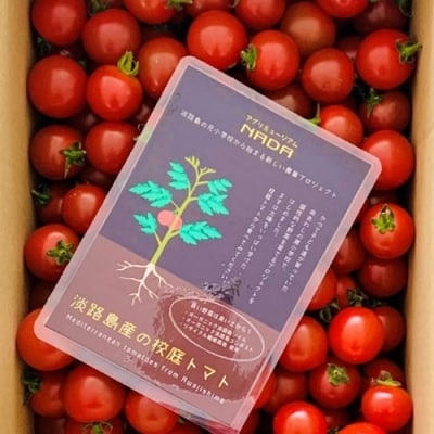 アグリミュージアムNADA　校庭トマト　2kg