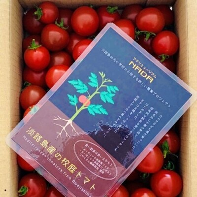 アグリミュージアムNADA　校庭トマト　1kg