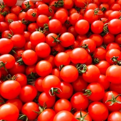 アグリミュージアムNADA　校庭トマト　1kg